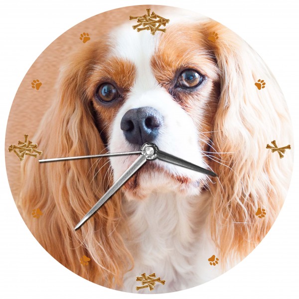 Design Wanduhr - Hunde Uhr "King Charles"