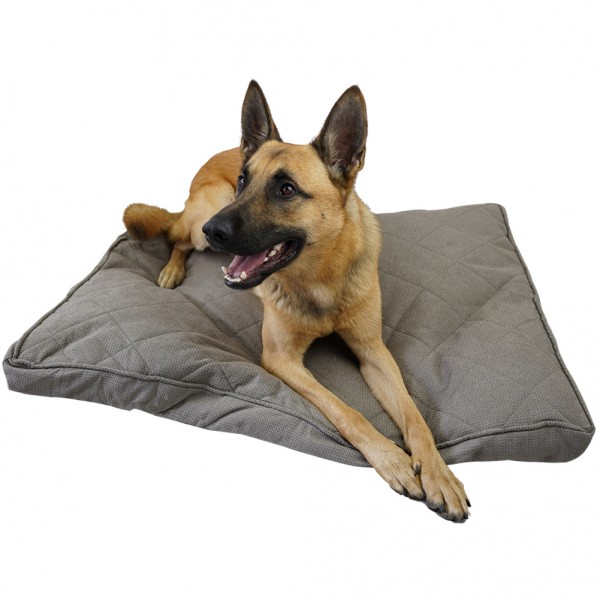 Stylisches Hundebett - beige Matratze - für große und kleine Lieblinge