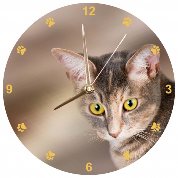 Design Wanduhr - Braune Katze