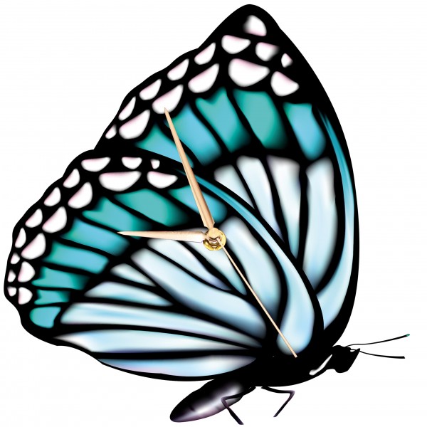 Design Wanduhr - Schmetterlings-Uhr blau