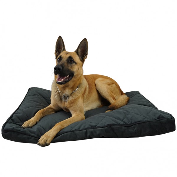 Stylisches Hundebett - graue Matratze - für große und kleine Lieblinge