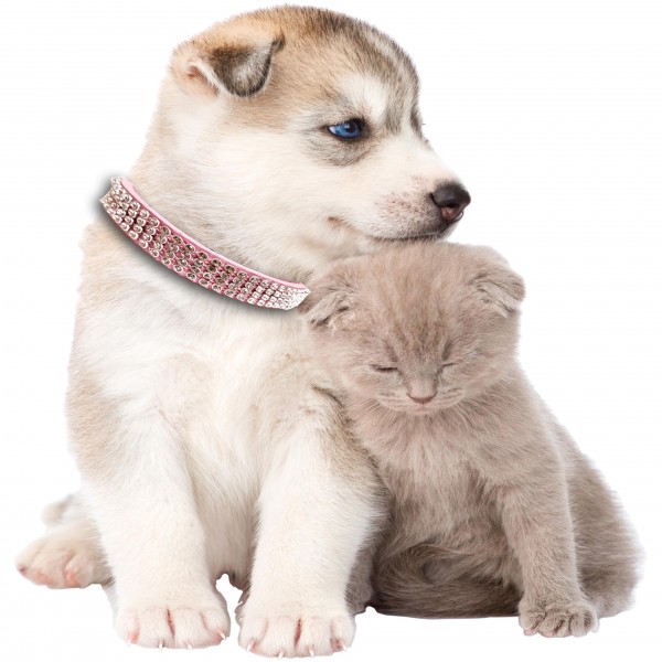 Strasshalsband für Hund und Katze in Rosa - M -