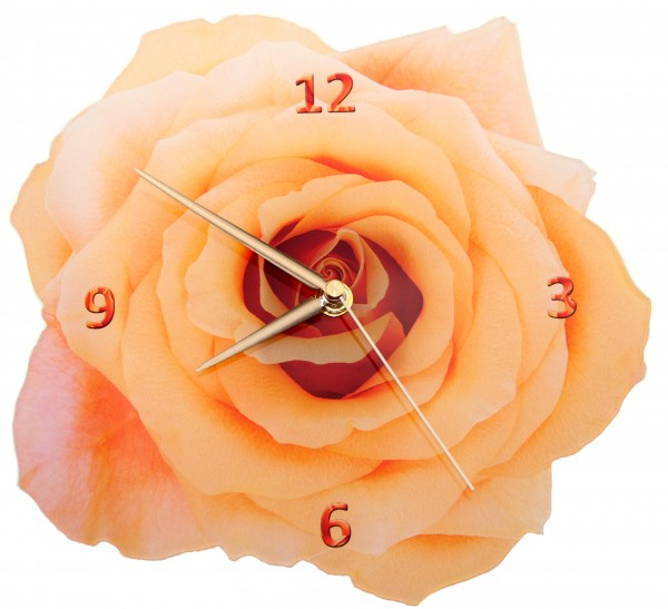 Design Wanduhr - Rosenblüte - Uhr apricót