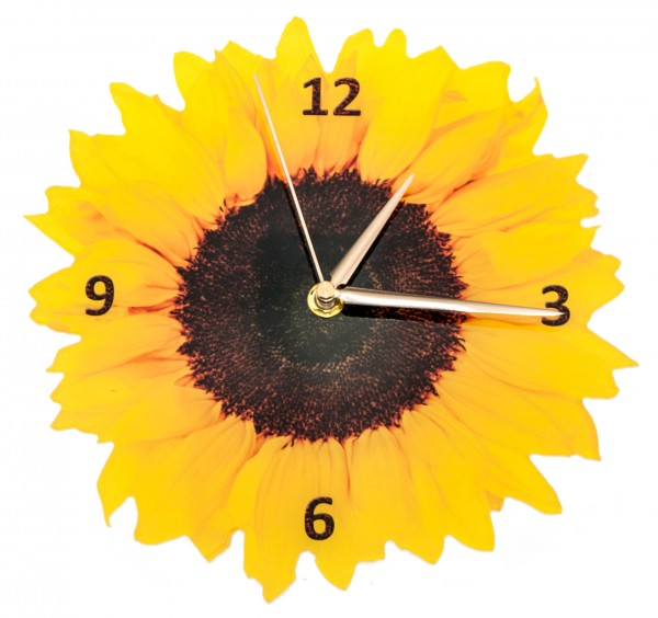 Design Wanduhr - Sonnenblumen - Uhr